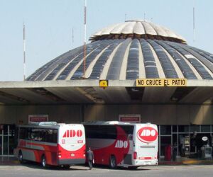 Latinskoamerická autobusová doprava