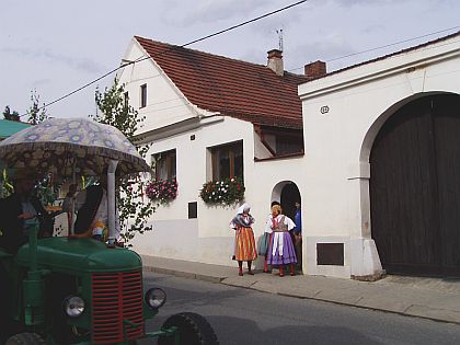 Fotoreportáž ze zvaní na MFF Česká náves - Dýšina.