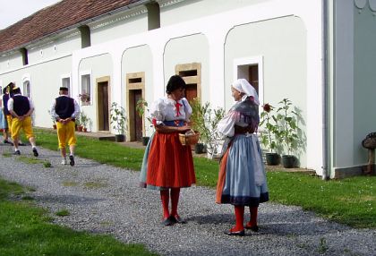 Fotoreportáž ze zvaní na MFF Česká náves - Dýšina.