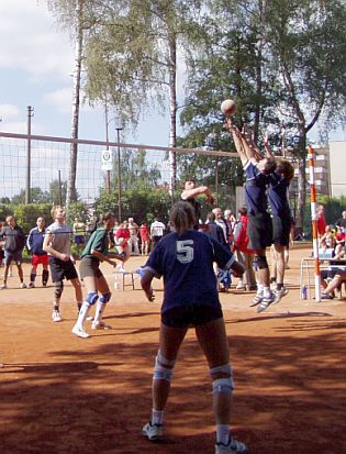 Volejbal 2006