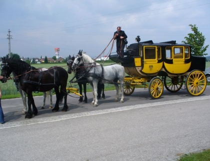 Rakouský Postbus slaví letos stoleté jubileum.