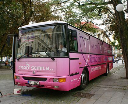 Od 17.9. do 31.10.2007 můžete potkat růžový autobus