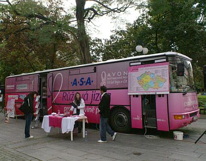 Od 17.9. do 31.10.2007 můžete potkat růžový autobus