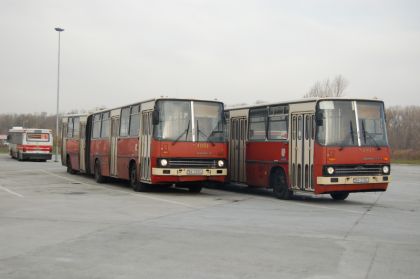 Ze sobotního loučení s autobusy Ikarus v Bratislavě.