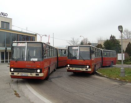 Ze sobotního loučení s autobusy Ikarus v Bratislavě.