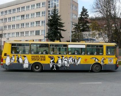 Nejen autobusový víkend v pražské hromadné dopravě v obrazech.