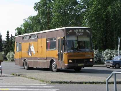 Vysokomýtské autobusové momentky.