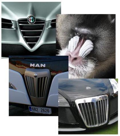 Připravujeme: Autokar NOGE Titanium španělského nástavbáře