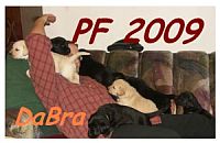 PF 2009  tentokrát od Jaro Matúška a něco ze života od DaBra.