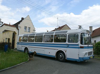 ŠD11 se  vyjela vyvětrat v rámci fotovýletu v Bdeněvsi.