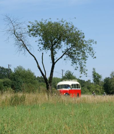 Zlatý bažant 2009  II. : Fotografie od lesa - s třešňovým torzem