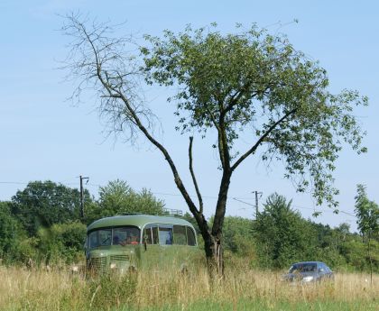 Zlatý bažant 2009  II. : Fotografie od lesa - s třešňovým torzem