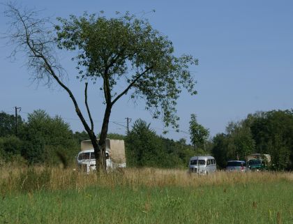 Zlatý bažant 2009  II. : Fotografie od lesa - s třešňovým torzem