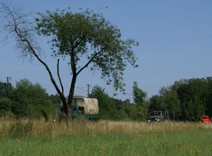 Zlatý bažant 2009  II. : Fotografie od lesa - s třešňovým torzem