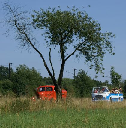 Zlatý bažant 2009  II. : Fotografie od lesa - s třešňovým torzem