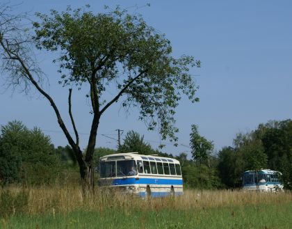 Zlatý bažant 2009  II. : Fotografie od lesa - s třešňovým torzem