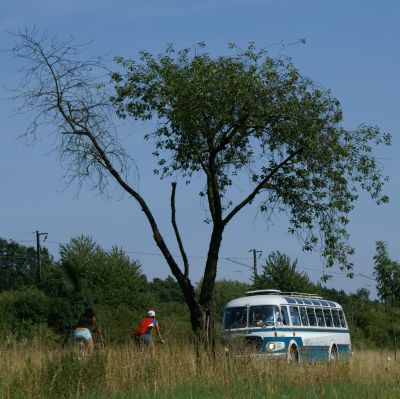 Zlatý bažant 2009  II. : Fotografie od lesa - s třešňovým torzem