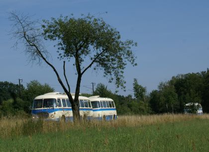 Zlatý bažant 2009  II. : Fotografie od lesa - s třešňovým torzem