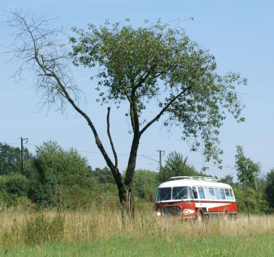 Zlatý bažant 2009  II. : Fotografie od lesa - s třešňovým torzem