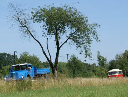 Zlatý bažant 2009  II. : Fotografie od lesa - s třešňovým torzem