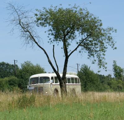 Zlatý bažant 2009  II. : Fotografie od lesa - s třešňovým torzem