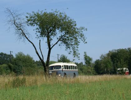 Zlatý bažant 2009  II. : Fotografie od lesa - s třešňovým torzem