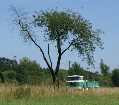 Zlatý bažant 2009  II. : Fotografie od lesa - s třešňovým torzem