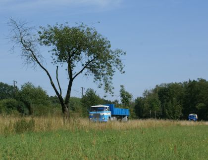 Zlatý bažant 2009  II. : Fotografie od lesa - s třešňovým torzem