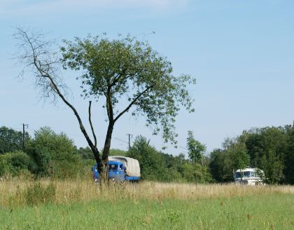 Zlatý bažant 2009  II. : Fotografie od lesa - s třešňovým torzem