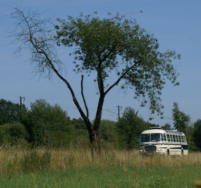 Zlatý bažant 2009  II. : Fotografie od lesa - s třešňovým torzem