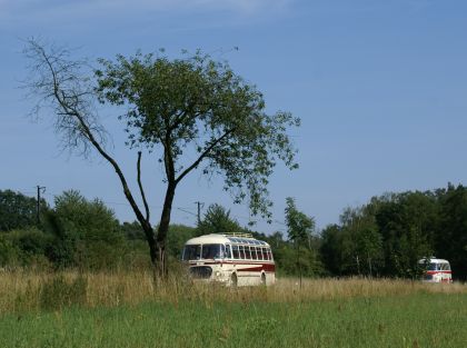 Zlatý bažant 2009  II. : Fotografie od lesa - s třešňovým torzem