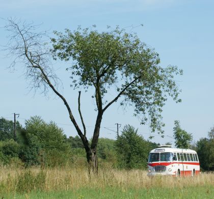 Zlatý bažant 2009  II. : Fotografie od lesa - s třešňovým torzem