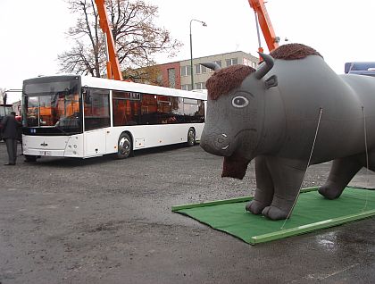 Nízkopodlažní autobus MAZ se představuje: Až do středy budou probíhat v Třebíči