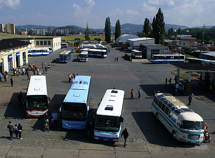 Dopravní společnost Probo Bus v datech a  číslech a další záběry