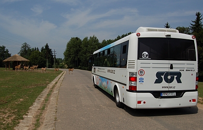Elektrobus na SAFARI