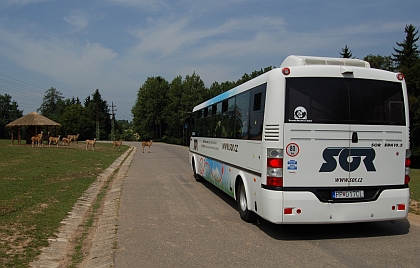 Elektrobus na SAFARI