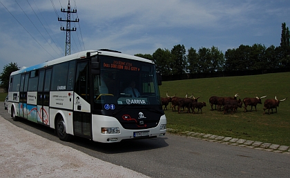 Elektrobus na SAFARI