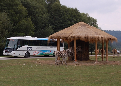 Elektrobus na SAFARI