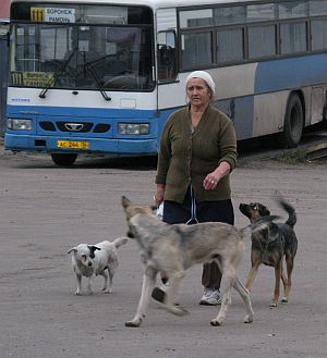Pohlednice z autobusových nádraží na východě 4: Voroněž