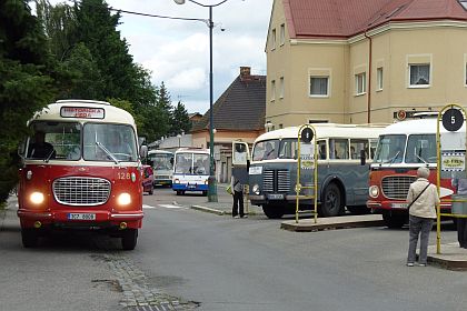 11. Zlatý bažant obrazem popáté: Zalidněné záběry - z Kolína až do Loučeně