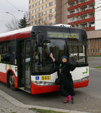 9. a 10.4.2013: Mezinárodní konference Chytrá a zdravá městská veřejná doprava
