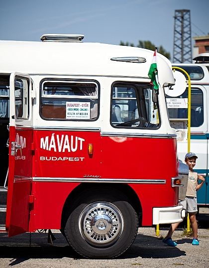 Zlatý bažant 2013: Premiéra autobusu Ikarus 311 z roku 1964