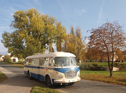 Škoda 706 RTO z Bdeněvsi na podzimních záběrech