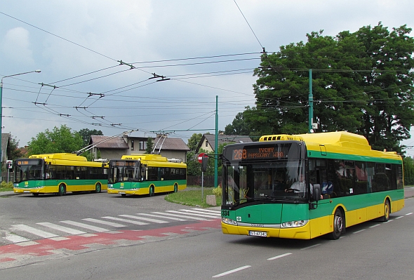 36 nově zakoupených autobusů MAN Lion`s City CNG pro Tychy