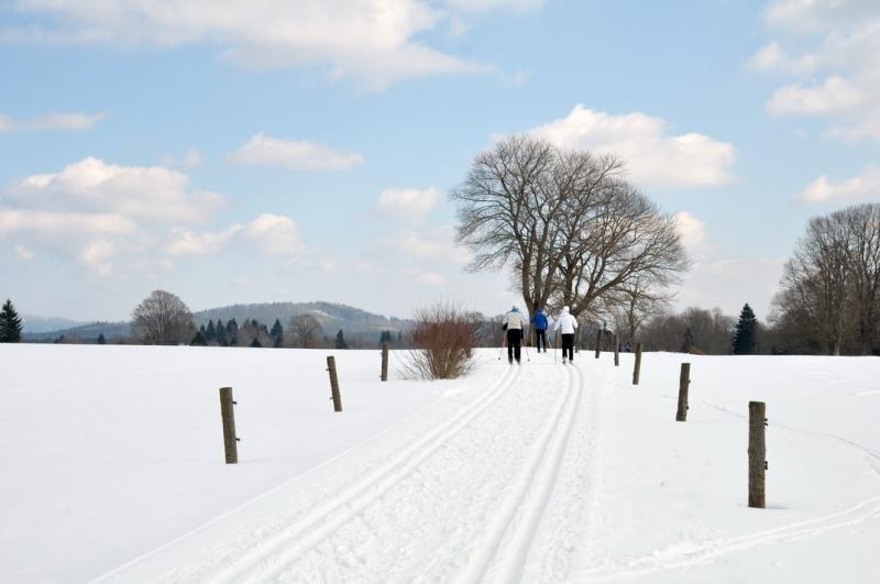 Přeprava lyží, snowboardů a saní v PID