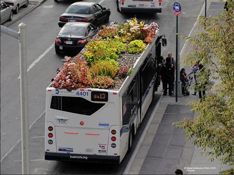 Zelené střechy autobusů a čistý vzduch v Madridu