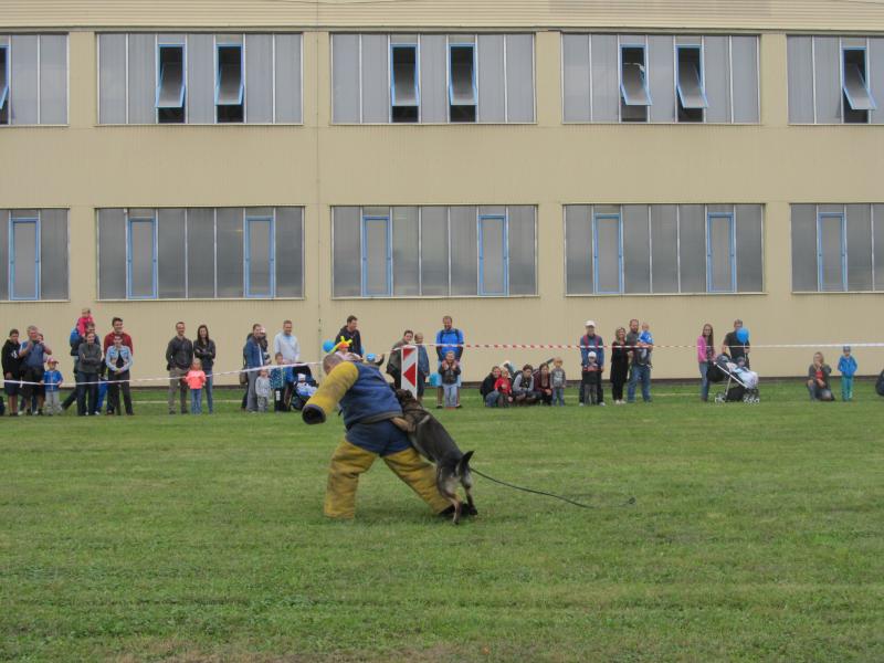 Den ostravských dopraváků 2019