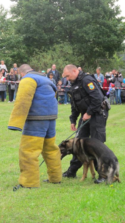 Den ostravských dopraváků 2019