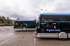 Registrace autobusů v EU v listopadu 2021