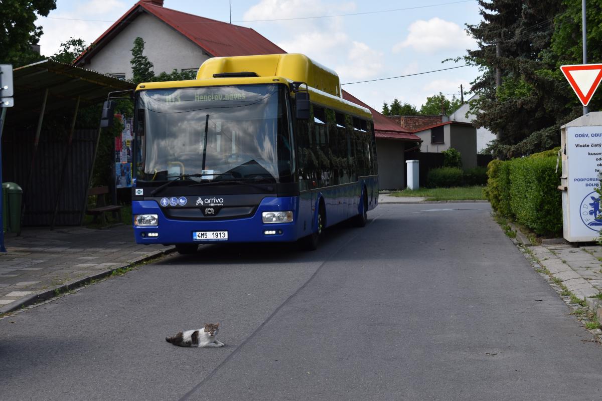 Fotojízda s autobusem SOR NBG 12 - obrazem